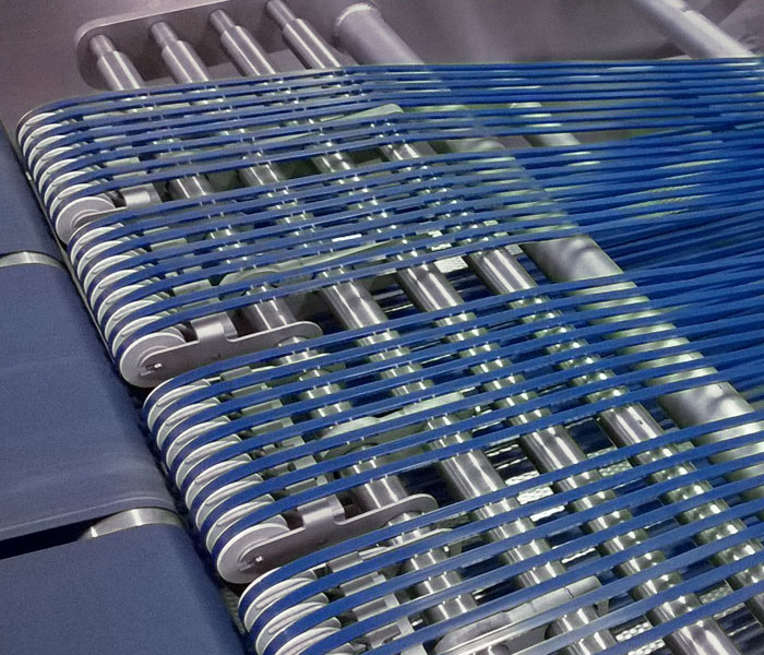 Conveyor Belting for the transport of products in the Food Industry